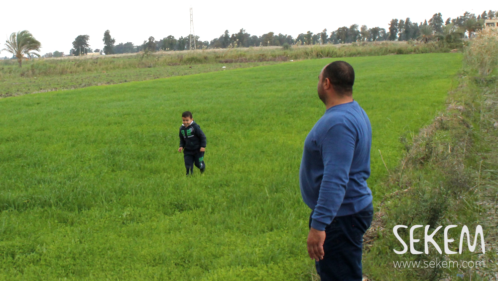 Ibrahim Al-Naggar with his son on his farm.