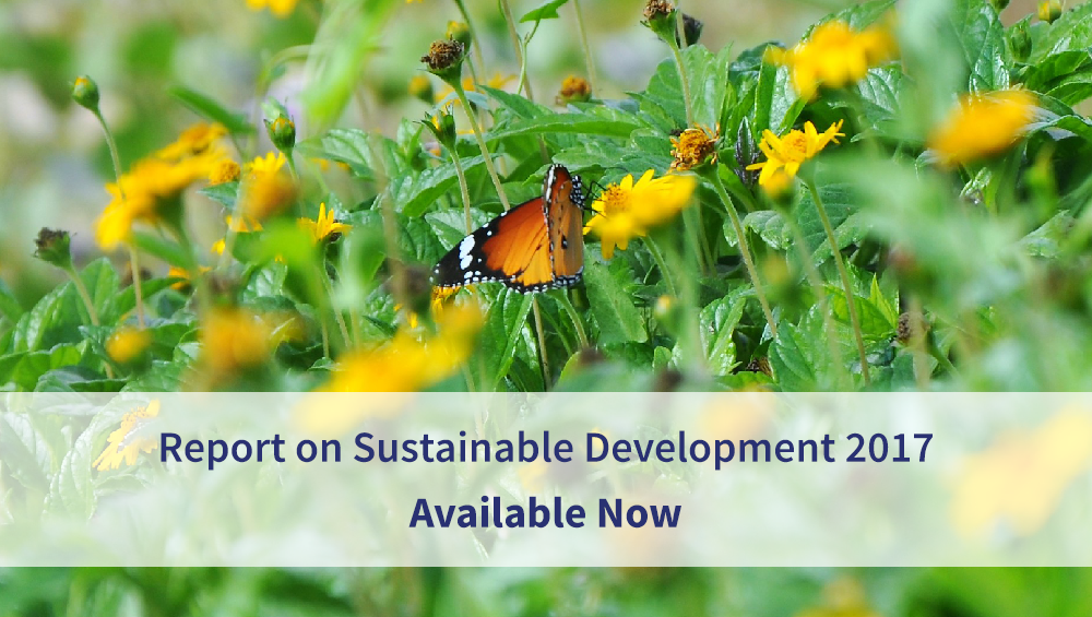 SEKEM veröffentlicht den Nachhaltigkeitsbericht 2017