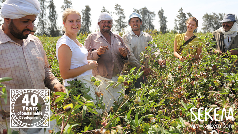 SEKEM Celebrates its Organic Cotton Harvest 2018