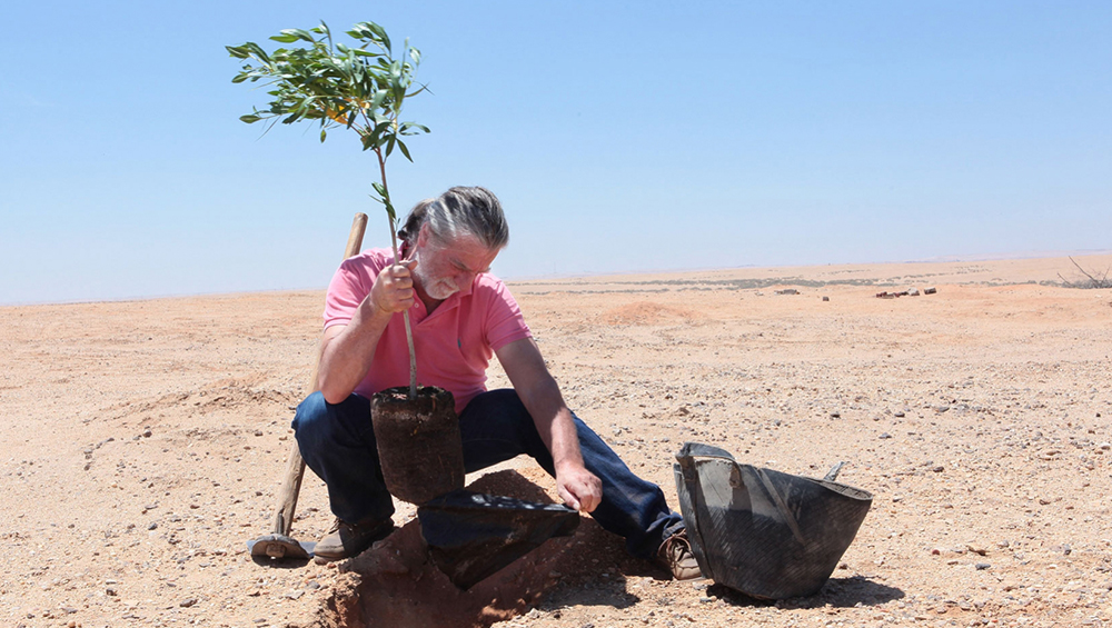 مشروع أشجار سيكم – بيعت شهادات ＂المعيار الذهبي＂ بالكامل!