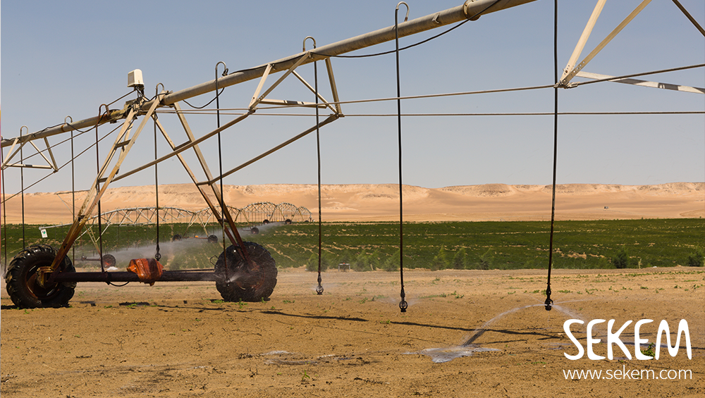 New “Desert Research Center”: Greening the Desert Update