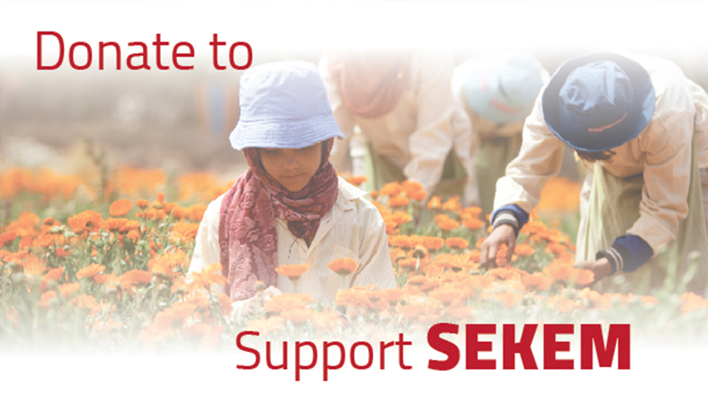 Funding for SEKEM’s Impact Project