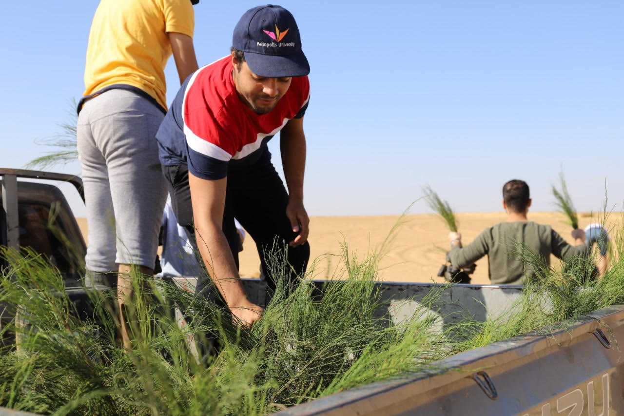 New Families and a School in the Desert: Greening the Desert Update