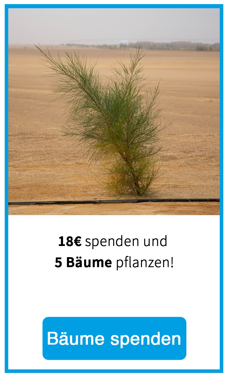 18 euro bäume pflanzen