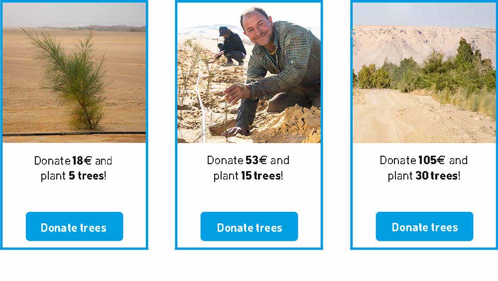 donate-trees
