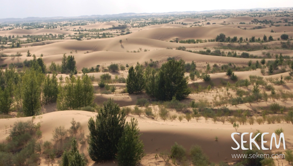 The Kubuqi Desert, Inner Mongolia