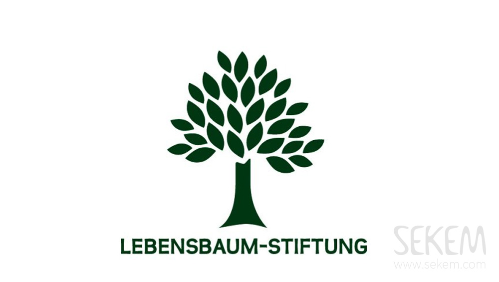 lebensbaum stiftung supports SEKEM school and university