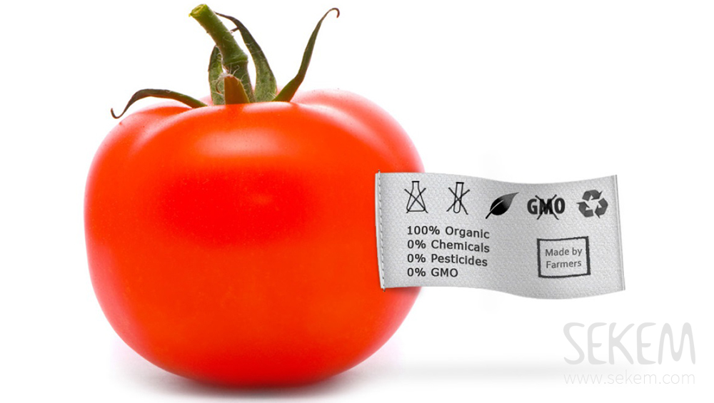 GMO isn´t the solution of the world hunger problem