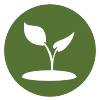 logo-ecology