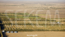 ecology04