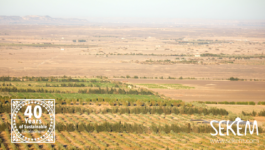 SEKEM is Combating Desertification in Egypt