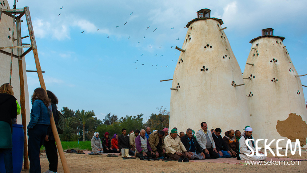 Spray and Pray for the Earth SEKEM