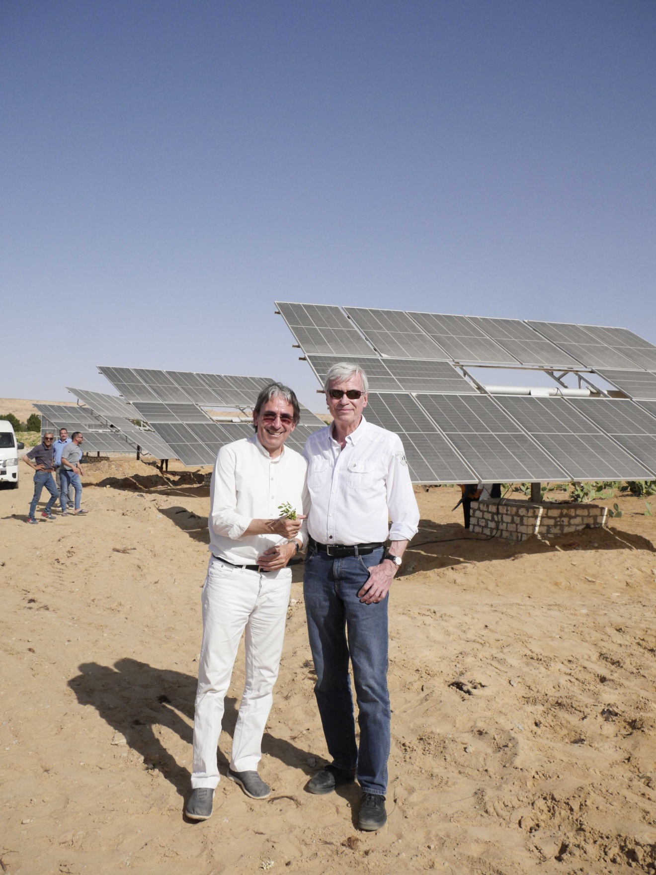 Sign of hope:100 trees planted in Egyptian White Desert. Recipient of ...