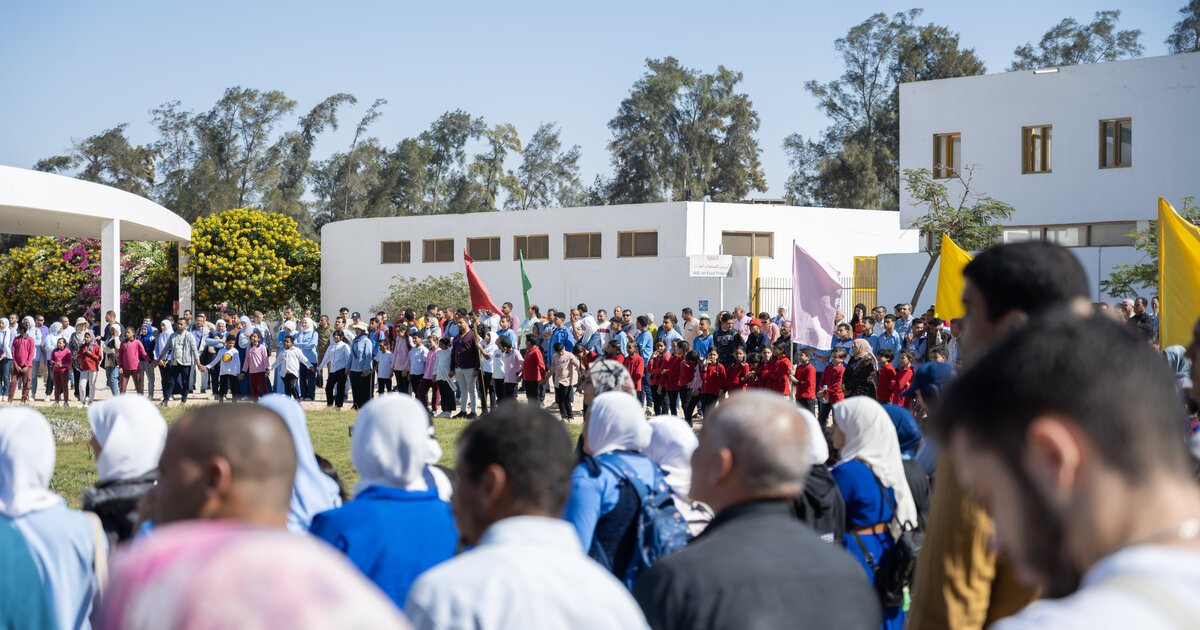 Harvesting Love: SEKEM Autumn Festival 2024 Celebrates 47 Years of Green Innovation and Community Spirit!