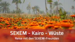 SEKEM-Reise mit den SEKEM-Freunden