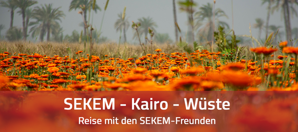 SEKEM-Reise mit den SEKEM-Freunden